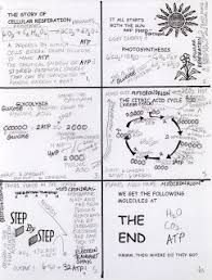 Awesome Way To Teach Cellular Respiration Biology Inclusion Class Set Includes 3 Student Texts 1 Student Workbo Biology Lessons Ap Biology Biology Classroom