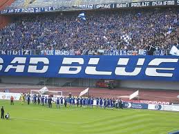 Sva mjesta na stadionu bila bi sjedeća i stadion bi imao 2000 vip mjesta na zapadu i 1.000 vip mjesta na istoku iza kojega je zamišljen kamp. Gnk Dinamo Zagreb Wikiwand
