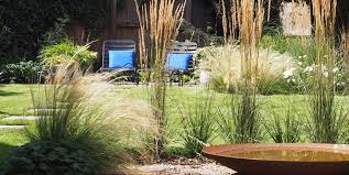 Contemporary Garden Hitchin Contemporary Garden Garden Design North Facing Garden