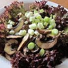 Die dekorativen, gekräuselten salatblätter eignen sich nicht nur bestens zum aufhübschen der käseplatte, als solist oder in kombination mit anderen blattsalaten lassen sich leckere. Lollo Rosso Rezepte Chefkoch