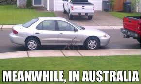 Meanwhile In Australia Meanwhile In Australia Funny Pictures Funny Memes