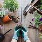 Garden Chat: How Does Your Garden Grow event image