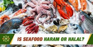Khalil andani (phd islamic studies — harvard university), an assistant professor of religion. Is Oyster Halal