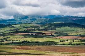 Landscape south africa africa africa landscape south snow trees nature scenery sky grass forest winter tree clouds blue water countryside green spring country season summer high definition picture. The Shifting Nature Of South Africa S Landscape A 24 Year Snapshot Of Land And Ecosystem Change Contabilidad De La Riqueza Y La Span Valoracion De Los Servicios De Los Ecosistemas