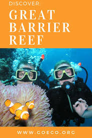 Discover The Great Barrier Reef With Goeco Great Barrier Reef Marine Conservation Volunteer