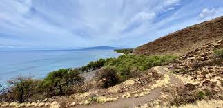 There have been many bills introduced in the legislature over the past several years to either exempt cryptocurrencies from the money transmitter requirements or create new laws to accommodate them. Bitcoin And Hawaii Real Estate Transactions The Crypto Skinny Hawaii Real Estate Market Trends Hawaii Life