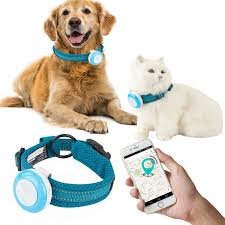 Gps, radio frequency, or bluetooth. Amazon Com Talis Us New Gps Pet Tracker Waterproof Smart Wifi Mini Portable Pet Anti Lost Gps Collar Tracking Device Safety Alarm Safe Geo Fence Smart Or Cats Dogs With App For Iphone Android