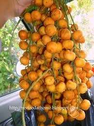 This rare, small seasonal fruit is found mostly in the rural areas of kedah and perlis. Buah Jentik