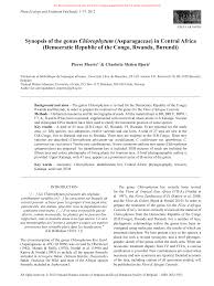 Image result for Chlorophytum macrosporum