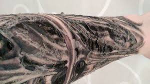 Bodywork Forum Bodmods