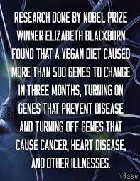 I Researched This And It S True Not Only Is Eating Meat Wrong It S Not Good For You Vegan Facts Vegan Diet Going Vegan