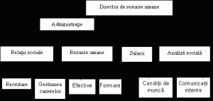 Departamentul de relații internaționale, științe politice și studii de securitate: Structuri De Organizare A Managementului Resurselor Umane Managementul Resurselor Umane