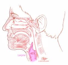This is often mild when it starts, and then gets worse over time as the cancer grows and the opening inside the esophagus gets smaller. Laryngeal Cancer Johns Hopkins Medicine