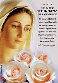 MARY, mystic rose, whose lovable heart, burning with the living fire of  love, adopted us as your children at the foot of the Cross, becoming thus  our most tender Mother, make us