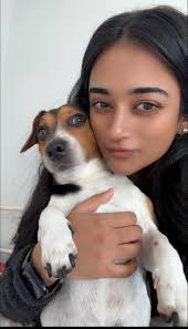 Jack Russell Terrier Owners