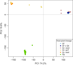 9 reasons it's perfectly fine to. Host Plant Associations And Geography Interact To Shape Diversification In A Specialist Insect Herbivore Driscoe 2019 Molecular Ecology Wiley Online Library