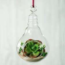 Set Of 6 5 Air Plant Glass Terrarium Light Bulb Hanging Plant Holders Hanging Plant Holder Hanging Plants Plant Holders