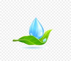 Water droplet png, tetesan air vektor, hd png download 514x523 is a free transparent png image. Daun Air Logo Gambar Png