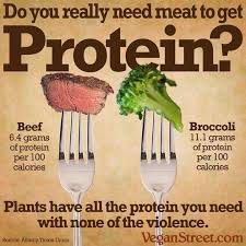 interesting protein comparison chart protein vegan