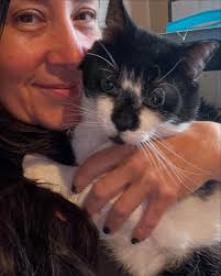 Chalky's Cat Crusade