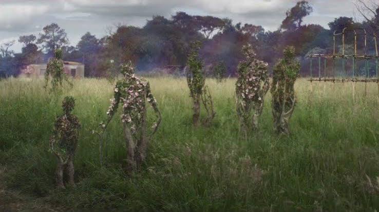 Annihilation' Review: A Beautiful Descent Into Fever Dream