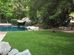 Use it for your own personal putting green in an otherwise pebbled yard, where you have a drier climate. Top 5 Backyard Pool Landscaping Ideas Purchase Green