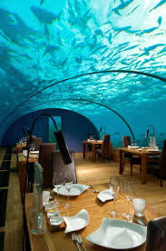 Pin By Sara Newman On Great Restaurants Underwater Restaurant Best Honeymoon Destinations Maldives Travel