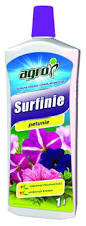 Image result for foto surfínie