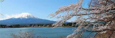 Fuji Five Lakes Travel Guide What To Do Around The Fujigoko