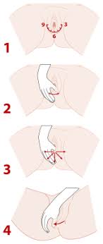Perineal Massage Wikipedia