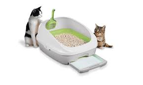 Use the target to get your cat to follow it into the litter box. How To Train A Kitten To Use Kitty Litter By My Cat Training Medium