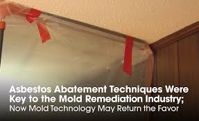 One way is to purchase a kit that allows simply put, any percentage of asbestos in your ceiling is dangerous, so be sure that nothing disturbs it and decide whether or not you'd like to. Asbestos Abatement Techniques Were Key To The Mold Remediation Industry Now Mold Technology May Return The Favor 2020 08 03 Restoration Remediation Magazine