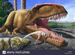 Giganotosaurus is one of the largest theropods, around the same size as tyrannosaurus rex and carcharodontosaurus, but smaller than spinosaurus. Giganotosaurus Carolinii Stockfotos Und Bilder Kaufen Alamy