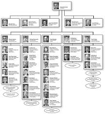 Tesla Organizational Chart Auto News