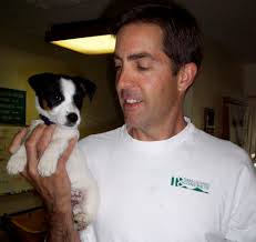 Archive Search Results