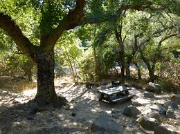 Find the best campgrounds & rv parks near ojai, california. Wheeler Gorge Campground Parks Management Company Get Outdoors California Camping