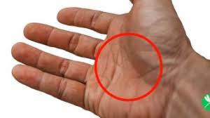 We did not find results for: Tes Psikologi Menggambar Rumah Pohon Manusia Bisa Ungkap Kepribadianmu