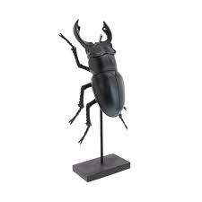 Scarabee Decoratif En Resine Sur Socle Petite Decoration Bouchara Scarabee Decoration