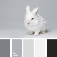 Black And White Color Scheme Color Palette 2898 Grey Color Palette Black Color Palette Grey Color Scheme