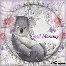 صور صباح الخير good morning koala صباح الحب يسعد صباحك happy tuesday pictures koala good morning picture