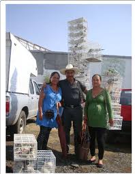 It is divided into 36 municipalities and its capital city is cuernavaca. Family Of Bird Sellers From San Bartolo Morelos State Of Mexico Download Scientific Diagram