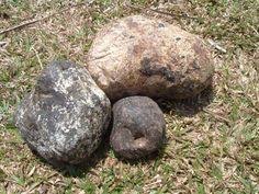 Al menos se genera en el mismo sitio que los excrementos y se expulsa también por el mismo lugar. 20 Ideias De Ambar Gris Ambar Baleia Cachalote Cachalote