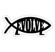Evolve Funny Evolution Science Atheist Darwin Atheism Fish By Porsandi Evolution Science Atheist Atheism