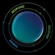 Search for jobs related to risk management jobs india or hire on the world's largest freelancing marketplace with 19m+ jobs. Financial Risk Transactions Restructuring Perspectives Analysis And News Deloitte Us