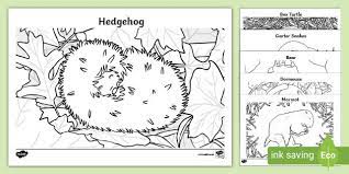7 days of creation coloring pages free 28 coloring. Hibernation Colouring Pages Teacher Made