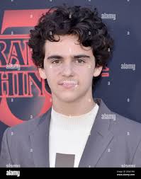 Jack Dylan Grazer arrives at Netflix's STRANGER THINGS 3 World Premiere  held at the Santa Monica