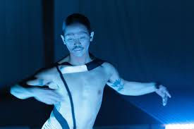 Bildergebnis für Joshua Serafin