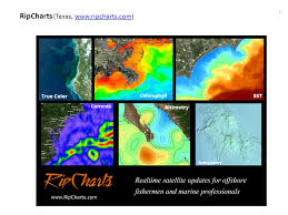 Sources Of Ocean Satellite Images Data Ricardo Letelier
