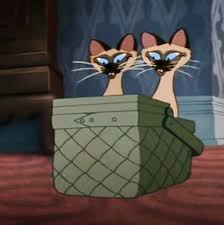 Why Is The Siamese Cat Song Racist Poc
