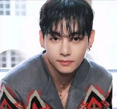 Taekook through a Jungian lens